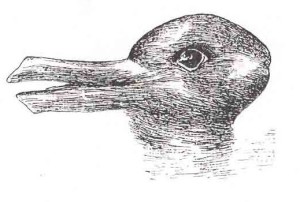 Dans le canard se cache toujours un lapin