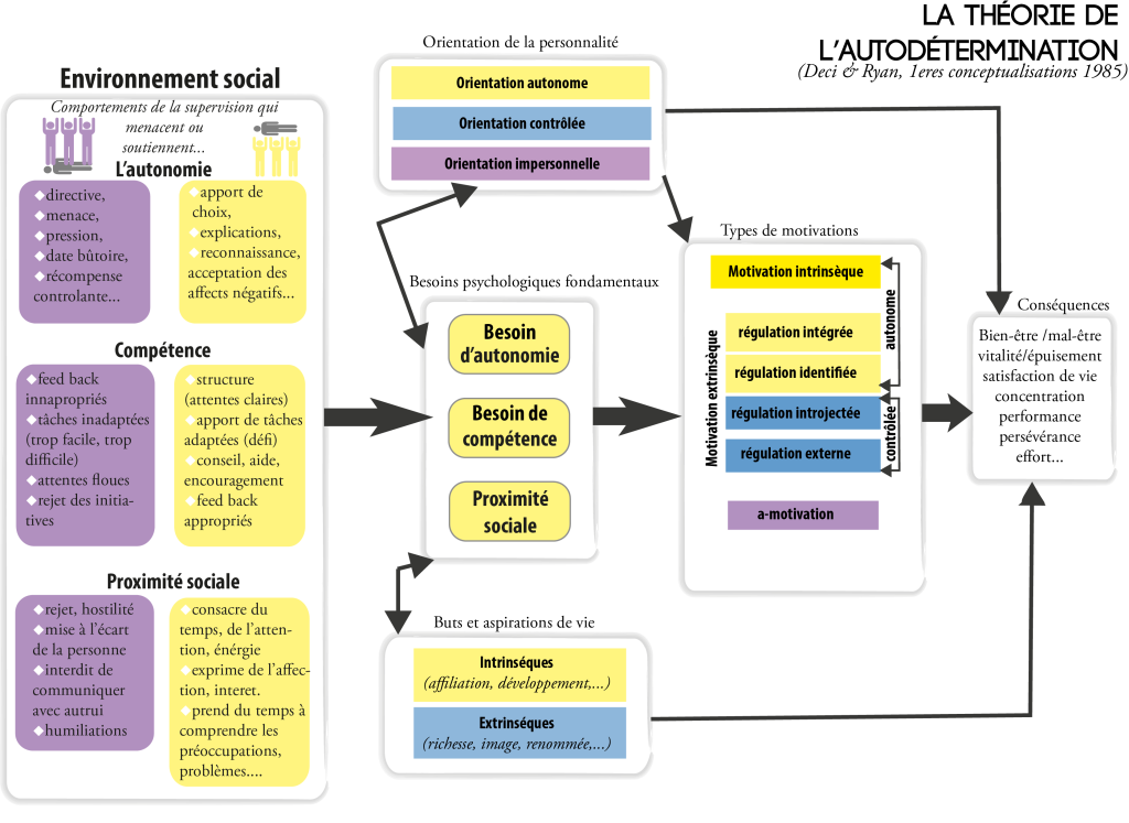 autodétermination schema decy ryan