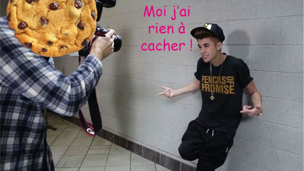 Si vous n’êtes pas Justin Bieber, vous pouvez contrer les tracking et les diverses pollutions du web avec HTTPS everywere, ghosthery, ublock origins ; évidemment en n’enregistrant jamais votre historique/vos mots de passe, en utilisant duckduckgo en moteur de recherche, etc. Et pourquoi pas continuer avec VPN, Tor et le chiffrage des mails, etc.